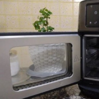 🔥 Air Fryer Oven Black Inox WAP 127v