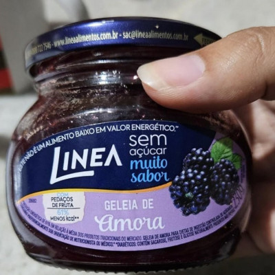 Geleia de Amora Linea 230g