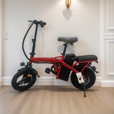 Bicicleta elétrica dobrável para adultos