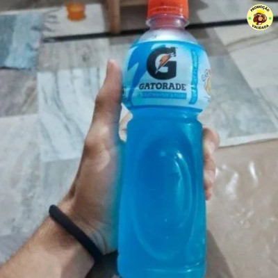 Isotônico Gatorade, Berry Blue, Garrafa 500ml