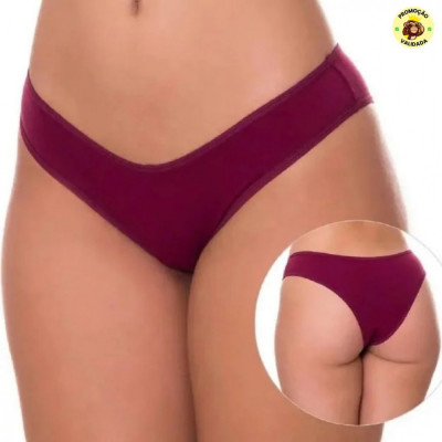 Kit 10 Calcinha Microfibra Feminina
