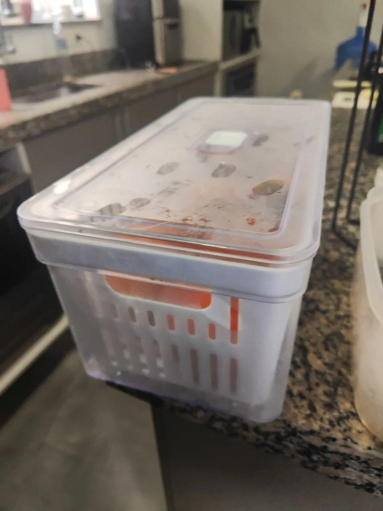 Organizador Geladeira 2,2L Cesto Drenagem