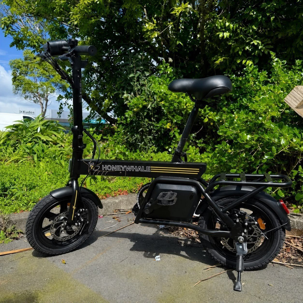 Honeywhale B20 Bicicleta Elétrica 14 Aro