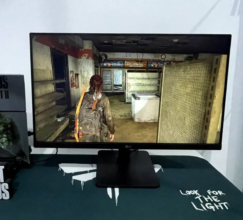 Monitor Gamer LG 24MS500-B 24ms Ips Fullhd 100hz